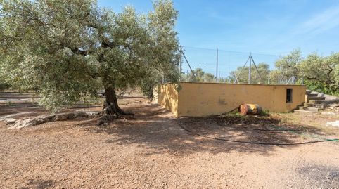 Finca con agua de riego y balsa, immagine 5