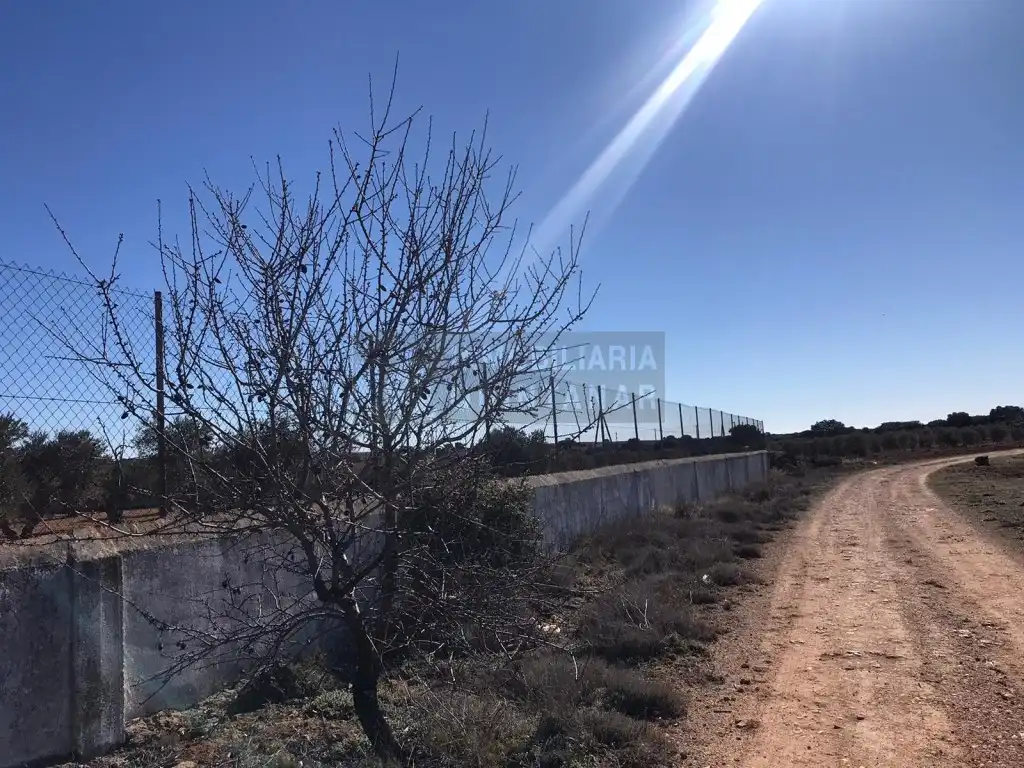 Finca rústica en venta en TO-2899, -1, Quintanar de la Orden