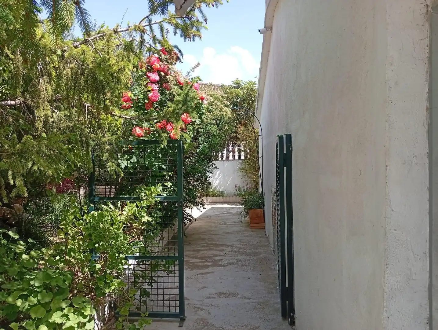 Jardí de Casa o xalet en venda en Sant Jaume dels Domenys