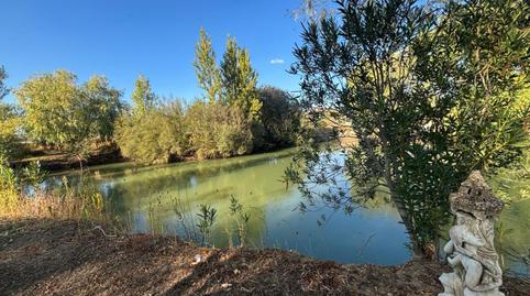 Photo 3 of House or chalet for sale in El Perchel, Ciudad Real