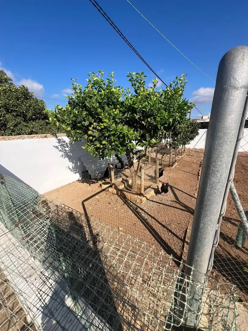 Casa rústica en venda a Vejer, imagen 16
