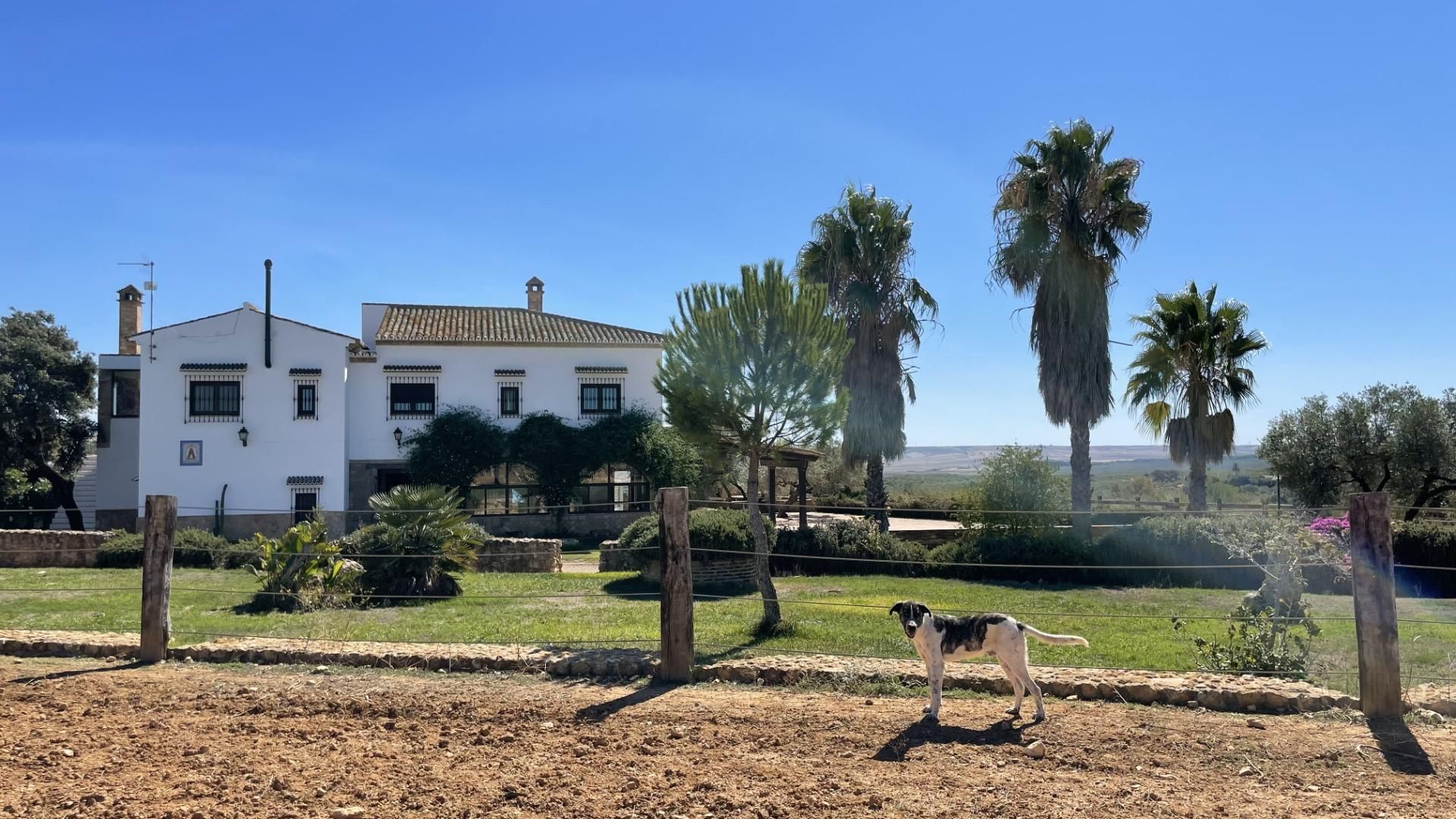 Vista exterior de Finca rústica en venda en Paterna del Campo amb Aire condicionat, Calefacció i Jardí privat