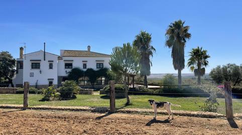 Foto 2 de Finca rústica en venda a Paterna del Campo, Huelva