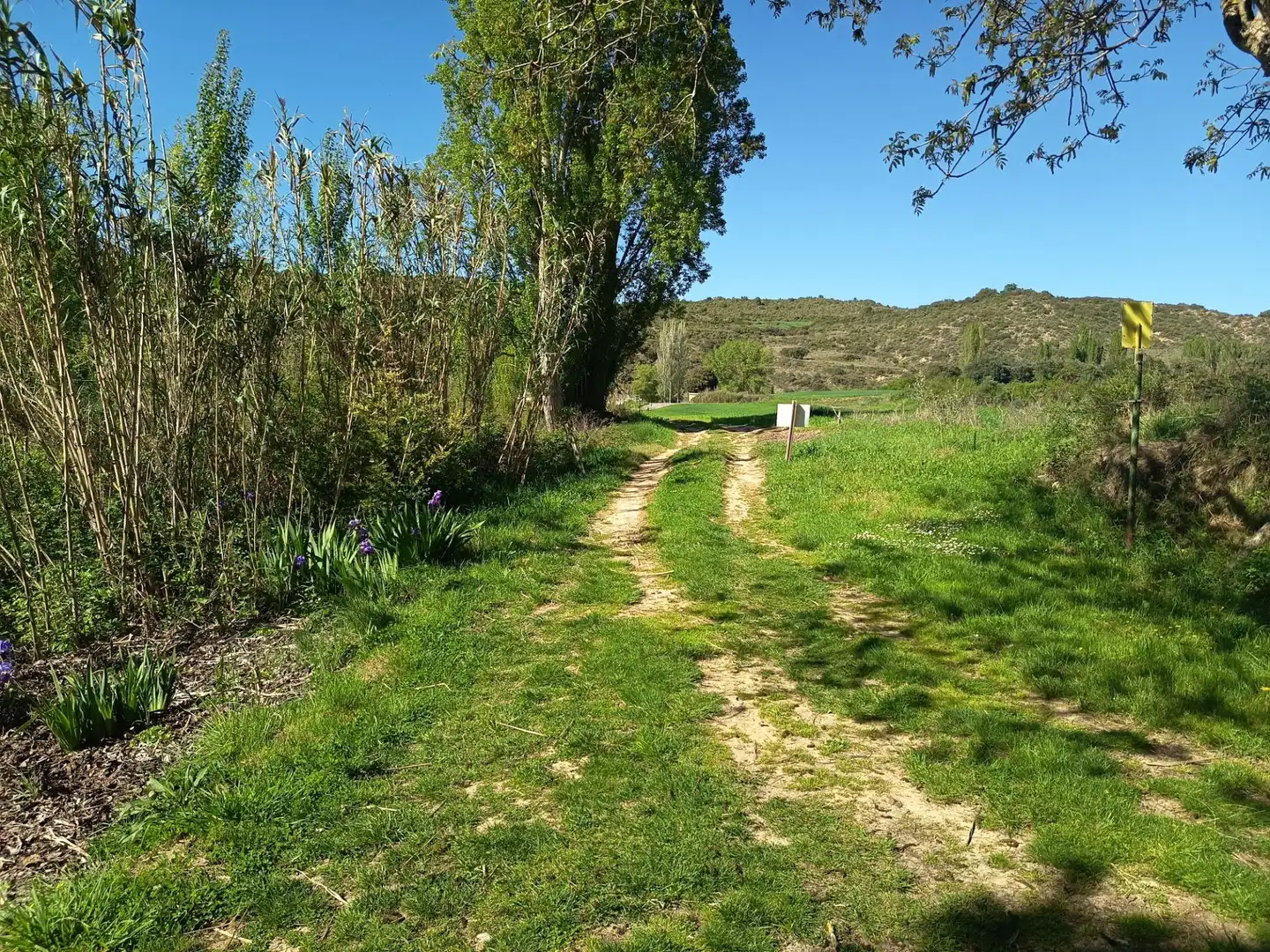 Land for sale in Leoz / Leotz