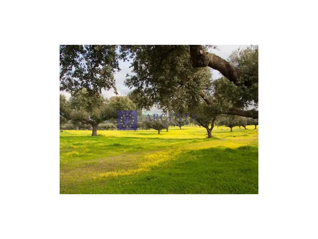 Houses for sale in Norte