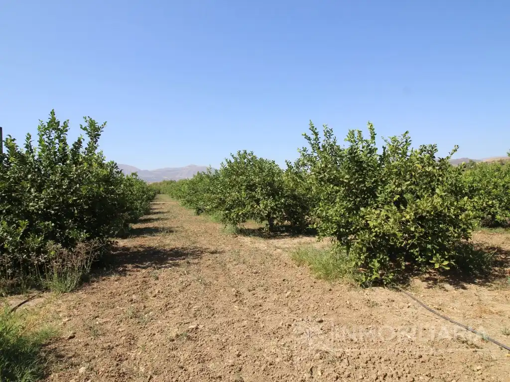 Casa o xalet en venda en Álora amb Aire condicionat, Jardí privat i Terrassa