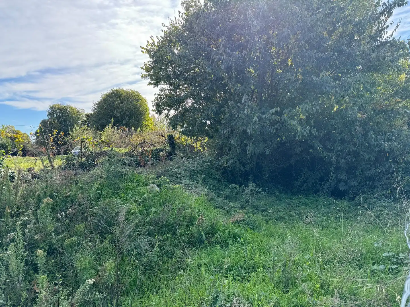 Terreni e lotti in vendita a Candeleda, imagen 3