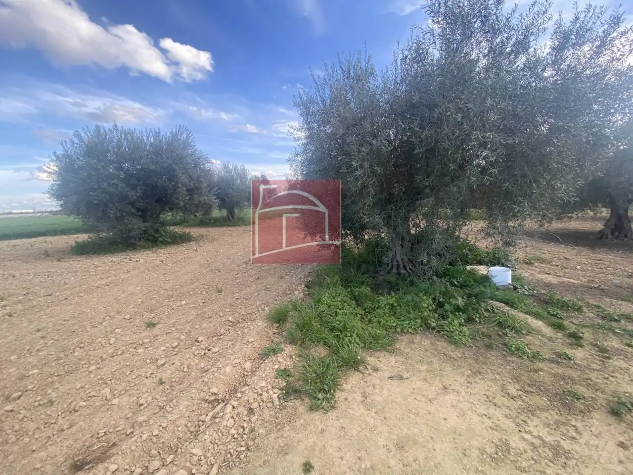 Terreni e lotti in vendita a Villanueva de la Serena, imagen 6