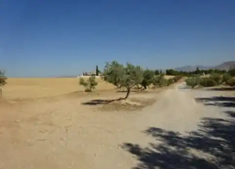 Rustikales Grundstück zum Verkauf in C/ San javier, imagen 9