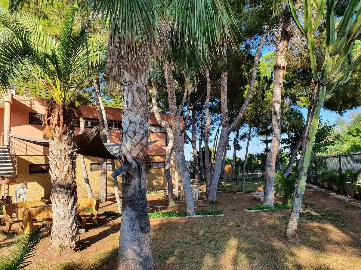 Casa o chalet en venta en Los Balcones - Los Altos