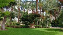 Jardí de Estudi en venda en Benidorm amb Aire condicionat i Terrassa