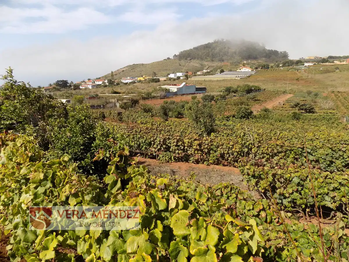 Exterior view of Country homes for sale in Tacoronte
