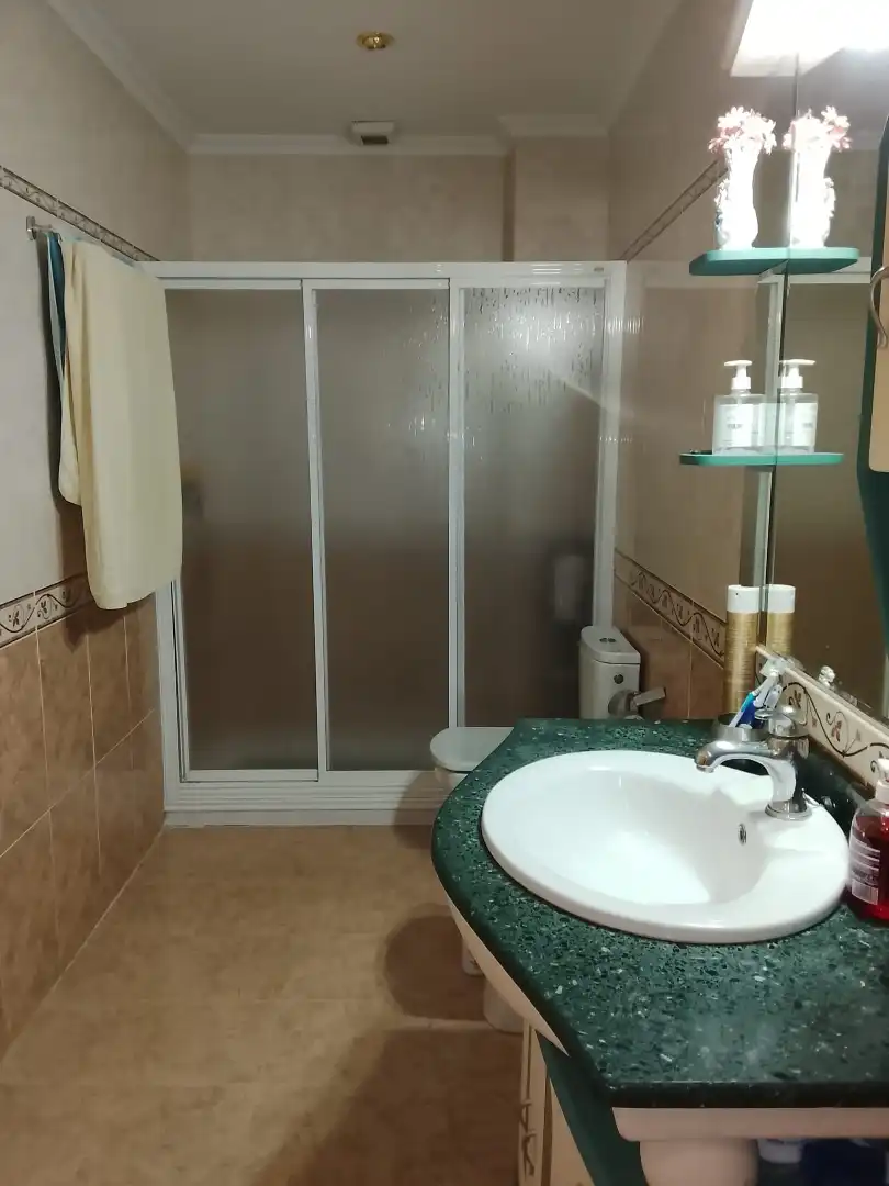 Bathroom of Houses for sale in Almodóvar del Pinar  with Furnished