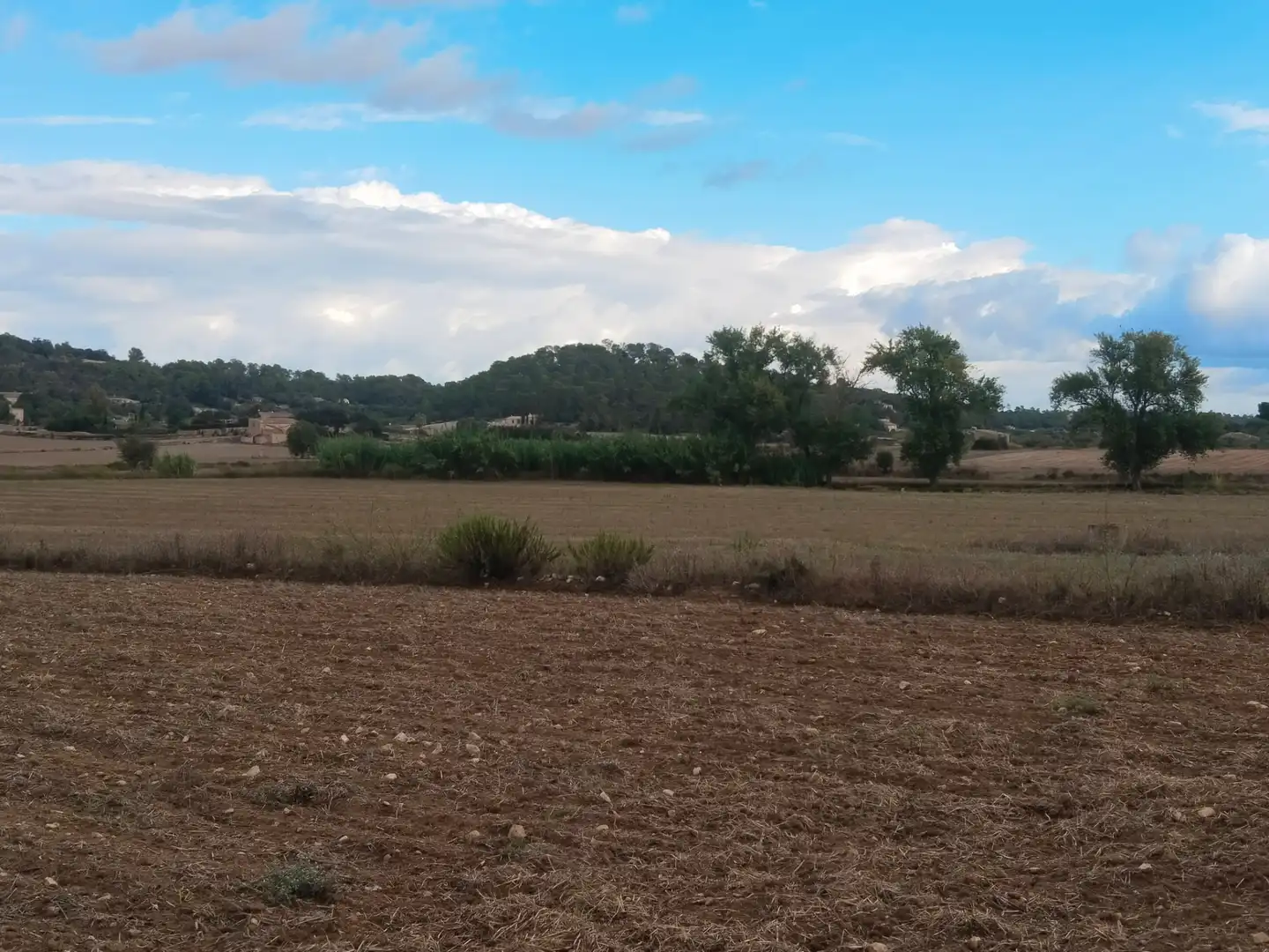 Terreno rustico in vendita a Sineu, imagen 9