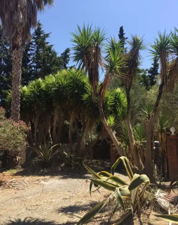 Maison rustique à vendre à San Martín del Tesorillo, imagen 13