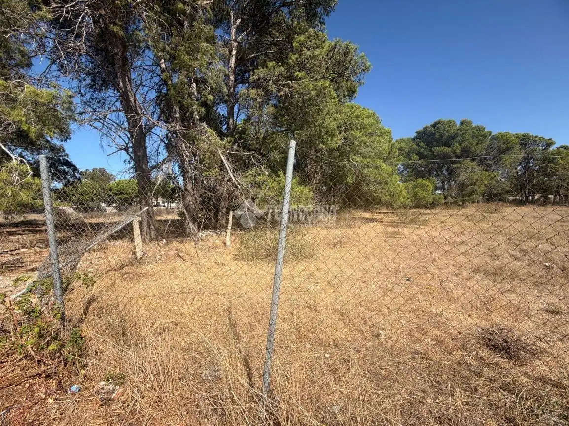 Terreny rústic en venda a Los Franceses – La Vega, imagen 10