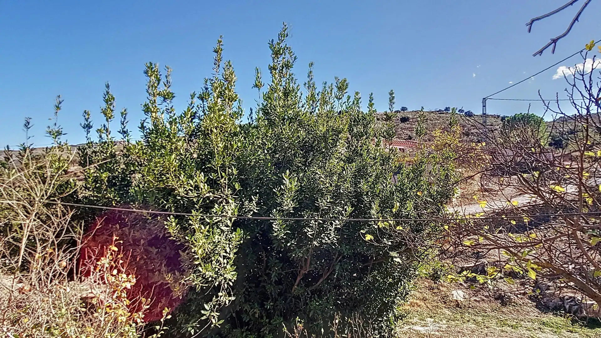 House with garden for sale in TEJERA 14, imagen 26