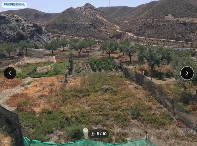 Terreno en Venta en Alicún