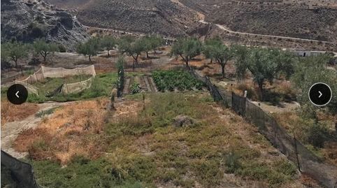 Foto 4 de Terreny en venda a Alicún, Almería