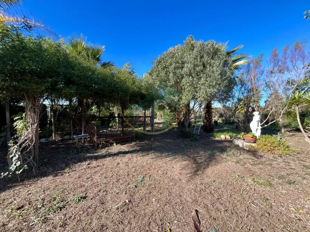 Garden of Houses for sale in Cullera