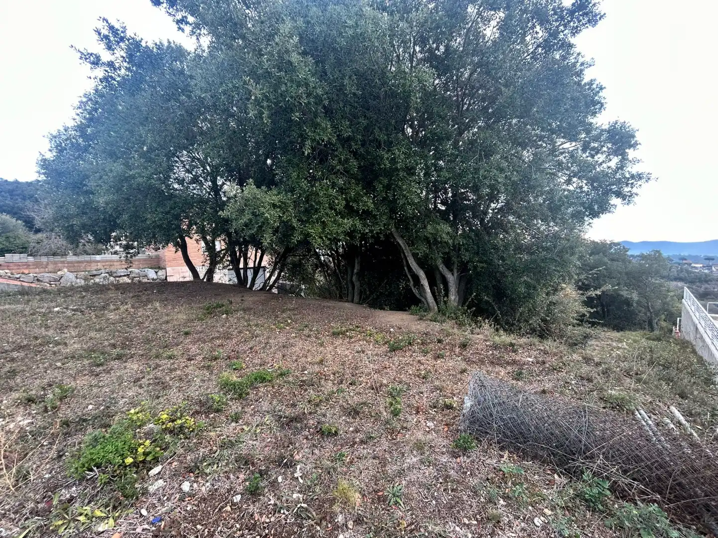 Terrain rustique à vendre à Dosrius - CL CAN DOMINGO, imagen 17
