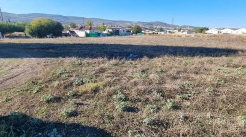 Finca Rústica en Venta en  Lucena, Córdoba, imatge 3