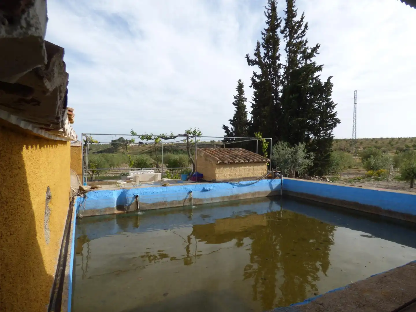 Piscina de Finca rústica en venta en Uleila del Campo con Calefacción, Jardín privado y Piscina comunitaria