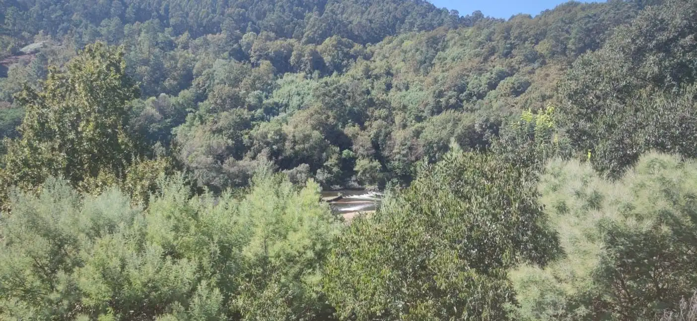 Vista exterior de Casa o xalet en venda en Crecente amb Jardí privat i Moblat