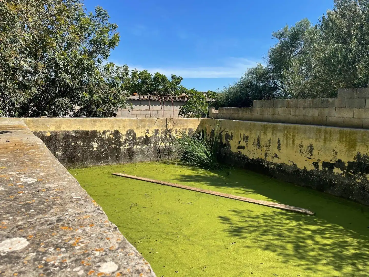 Jardín de Finca rústica en venta en Ariany con Jardín privado