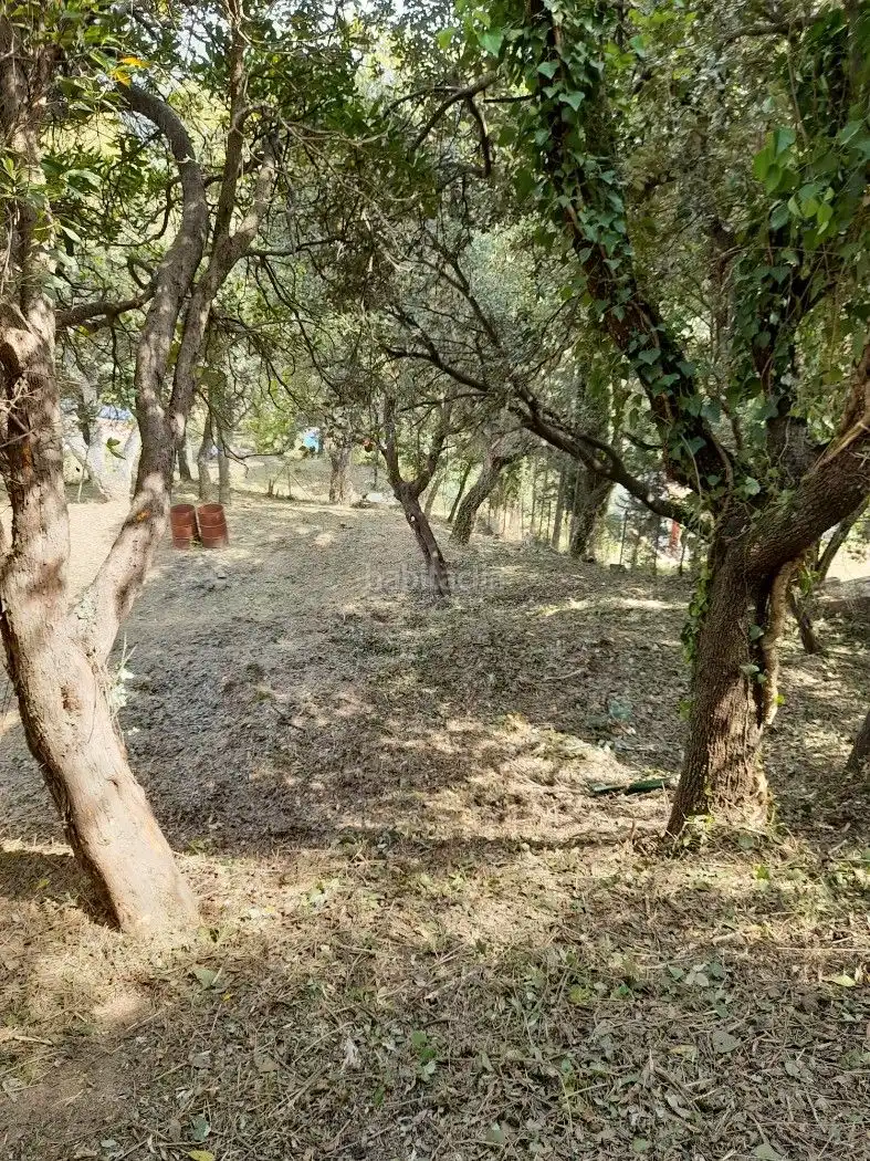Wohnbaugrundstück zum Verkauf in Carrer Roure 36, imagen 10