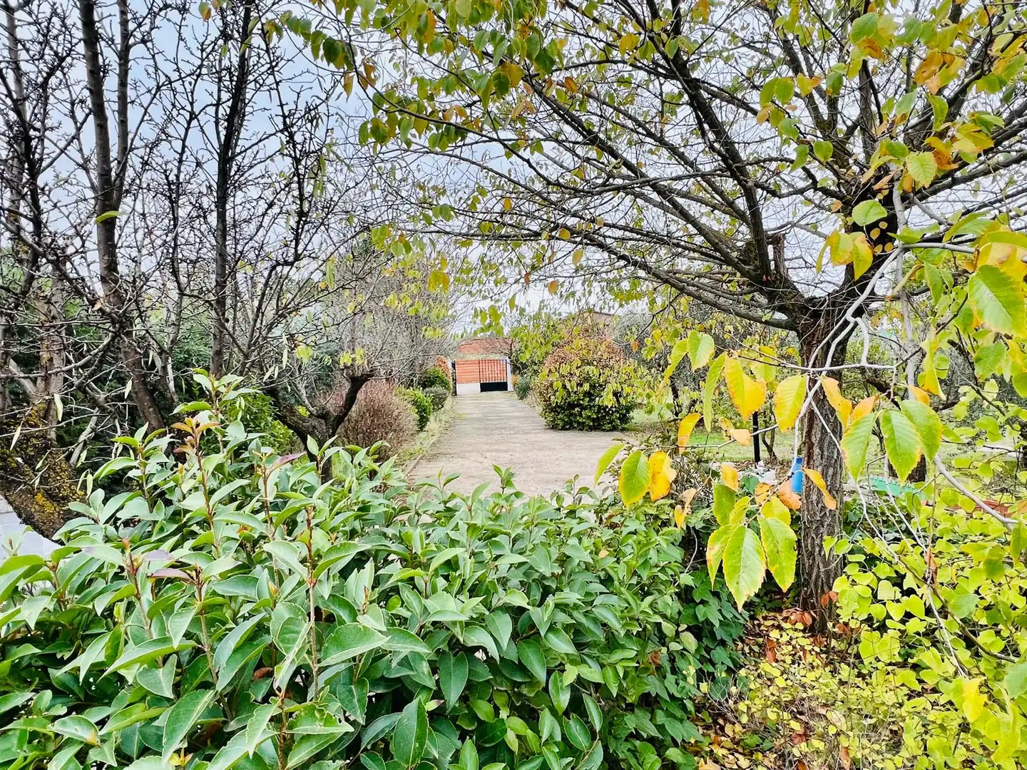 Finca rústica en venda en Illana amb Jardí privat i Moblat