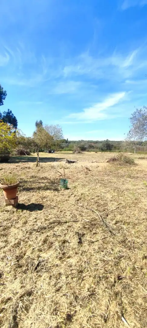 Terreno en venta en Alcalá de Guadaira