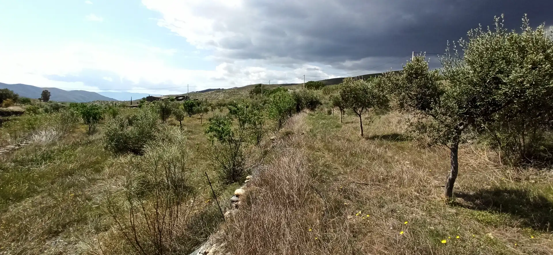 Rustikales Grundstück zum Verkauf in Calle El Almendro 5, imagen 5