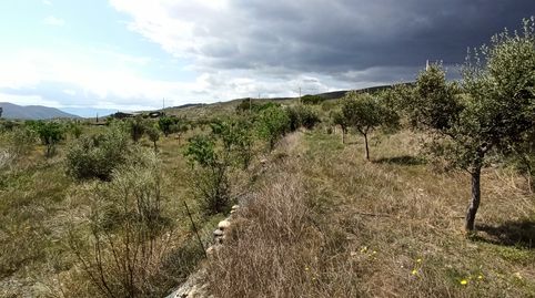 Terreno parcela en Senés, immagine 5