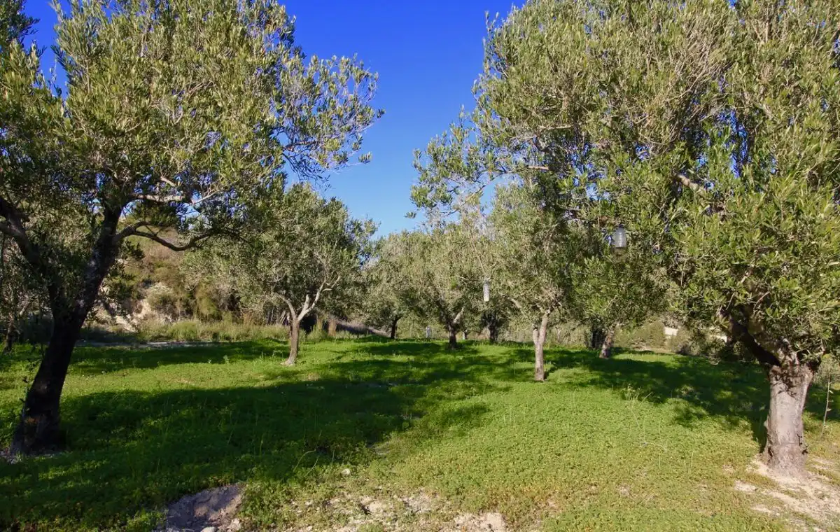 Terreno rústico en venta en Benissa pueblo, imagen 6