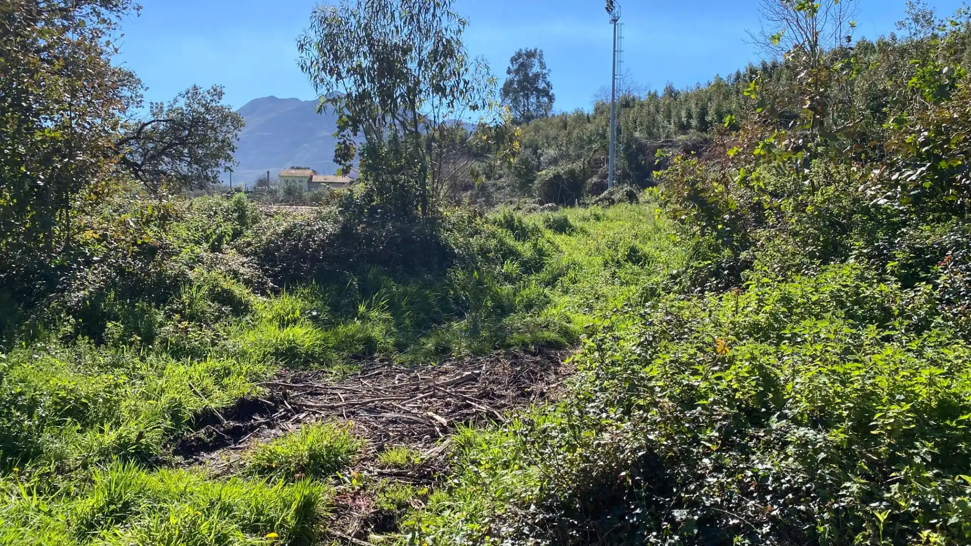 Rustikales Grundstück zum Verkauf in Ribadesella, imagen 12