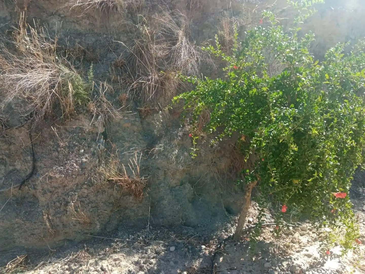 Terrains et parcelles à vendre à Pedanías Norte, imagen 9