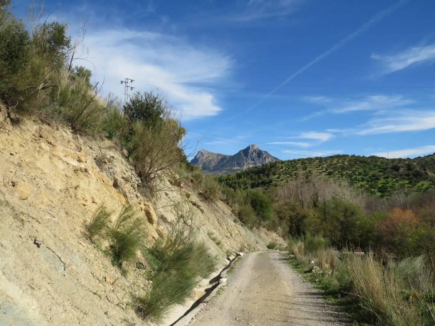 Terreny rústic en venda a Zahara, imagen 5