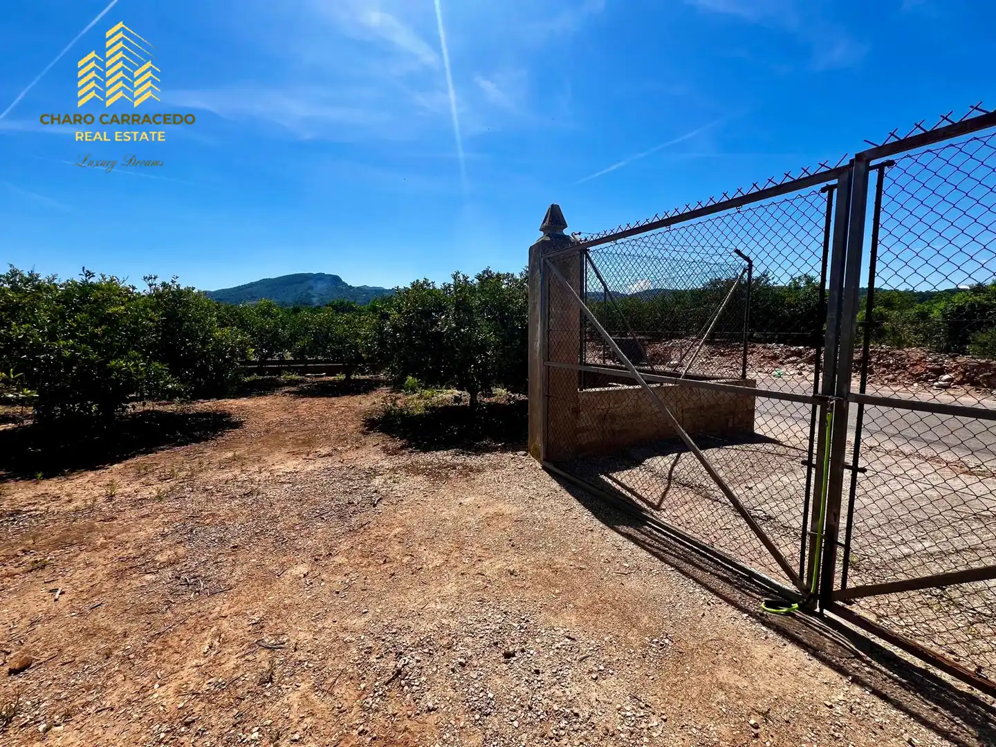Terreno rústico en venta en Camí de la Murta-Ombria, imagen 9