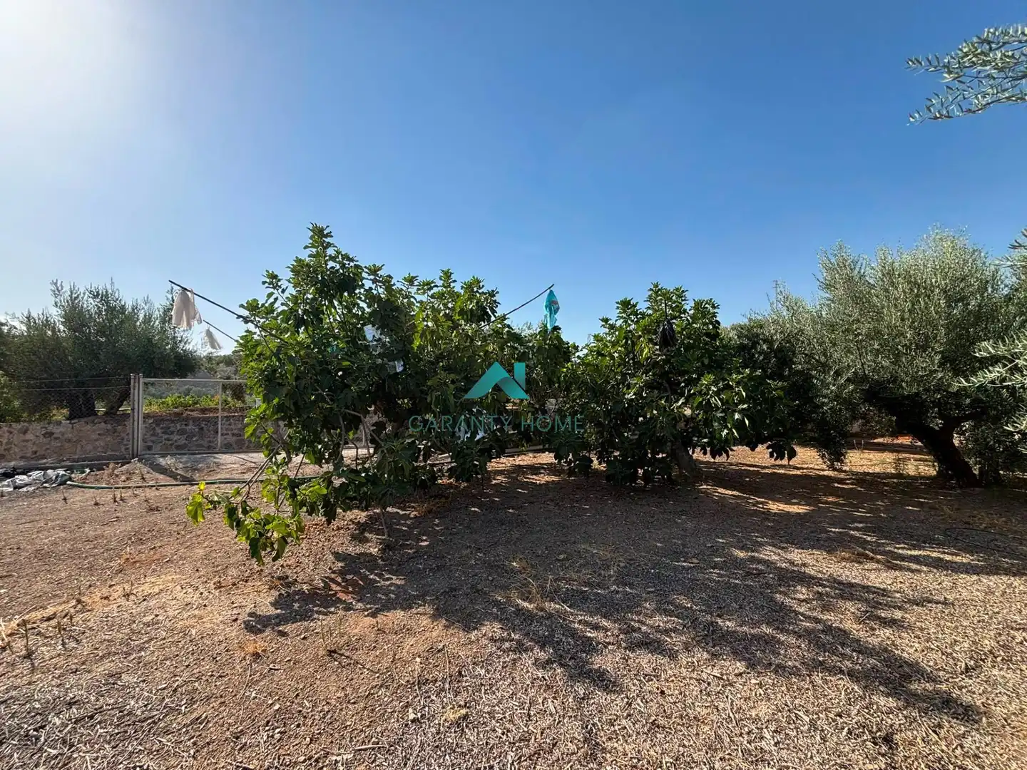 House with pool for sale in Alcaudete, imagen 33