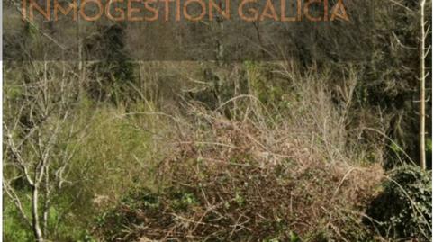 Foto 3 de Finca rústica en venda a Lugar Xocin, Carral, A Coruña