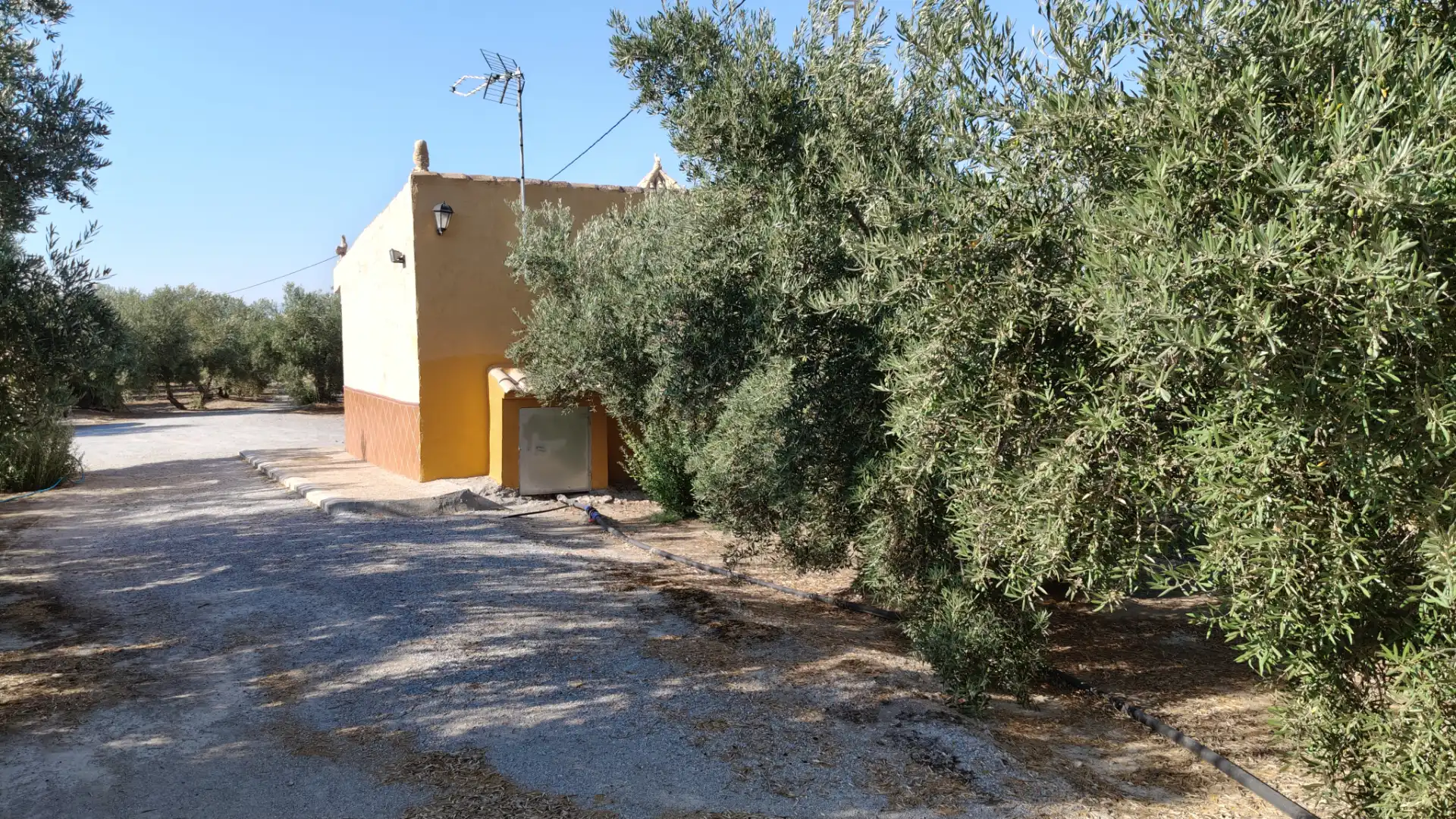 Chalet en venta en Camino San Tizo 1S, imagen 16