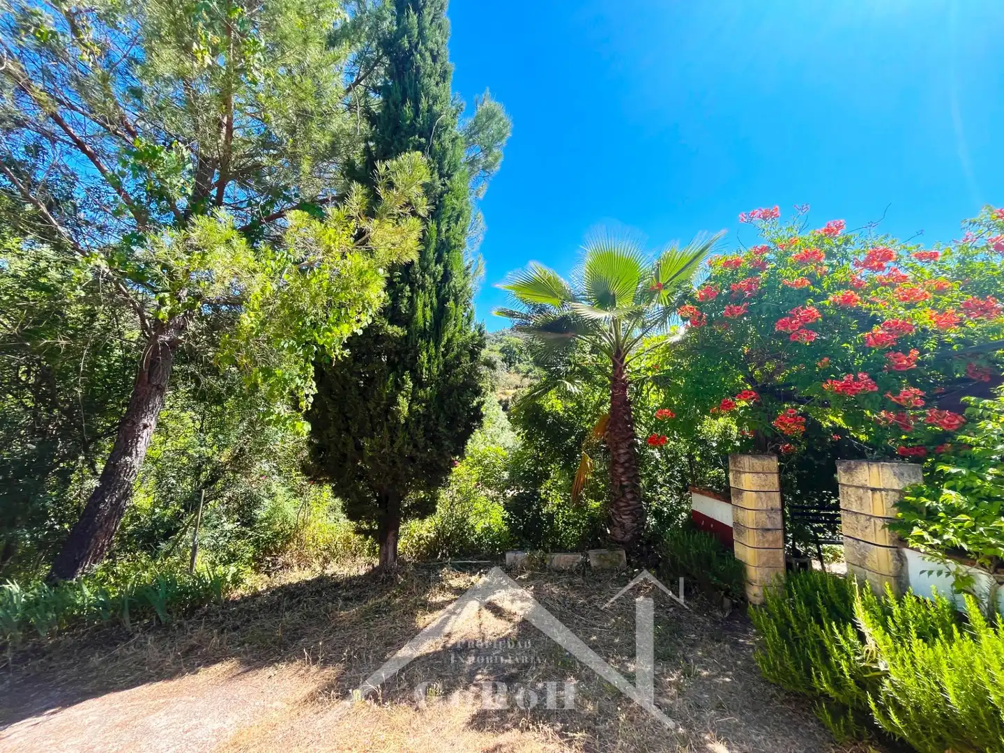 Garten von Grundstücke zum Verkauf in Constantina