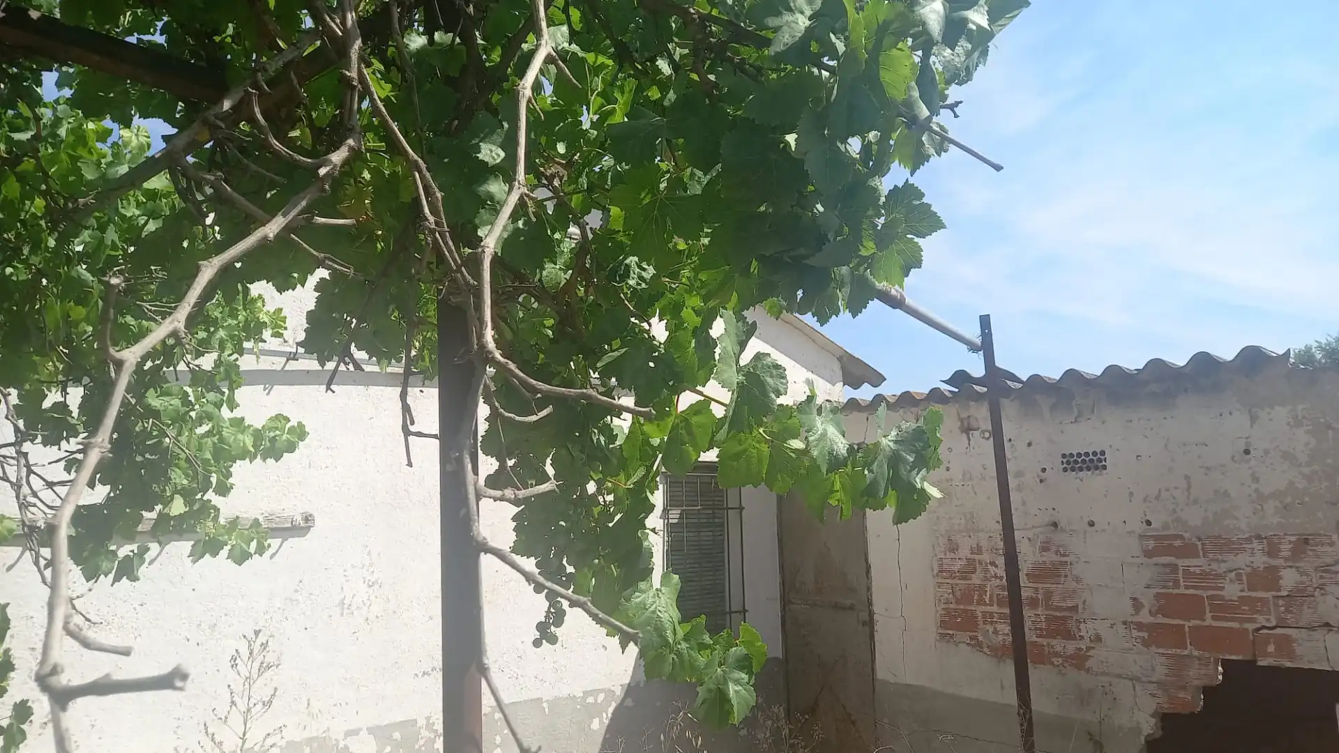 Finca rústica en venta en Chinchón con Piscina