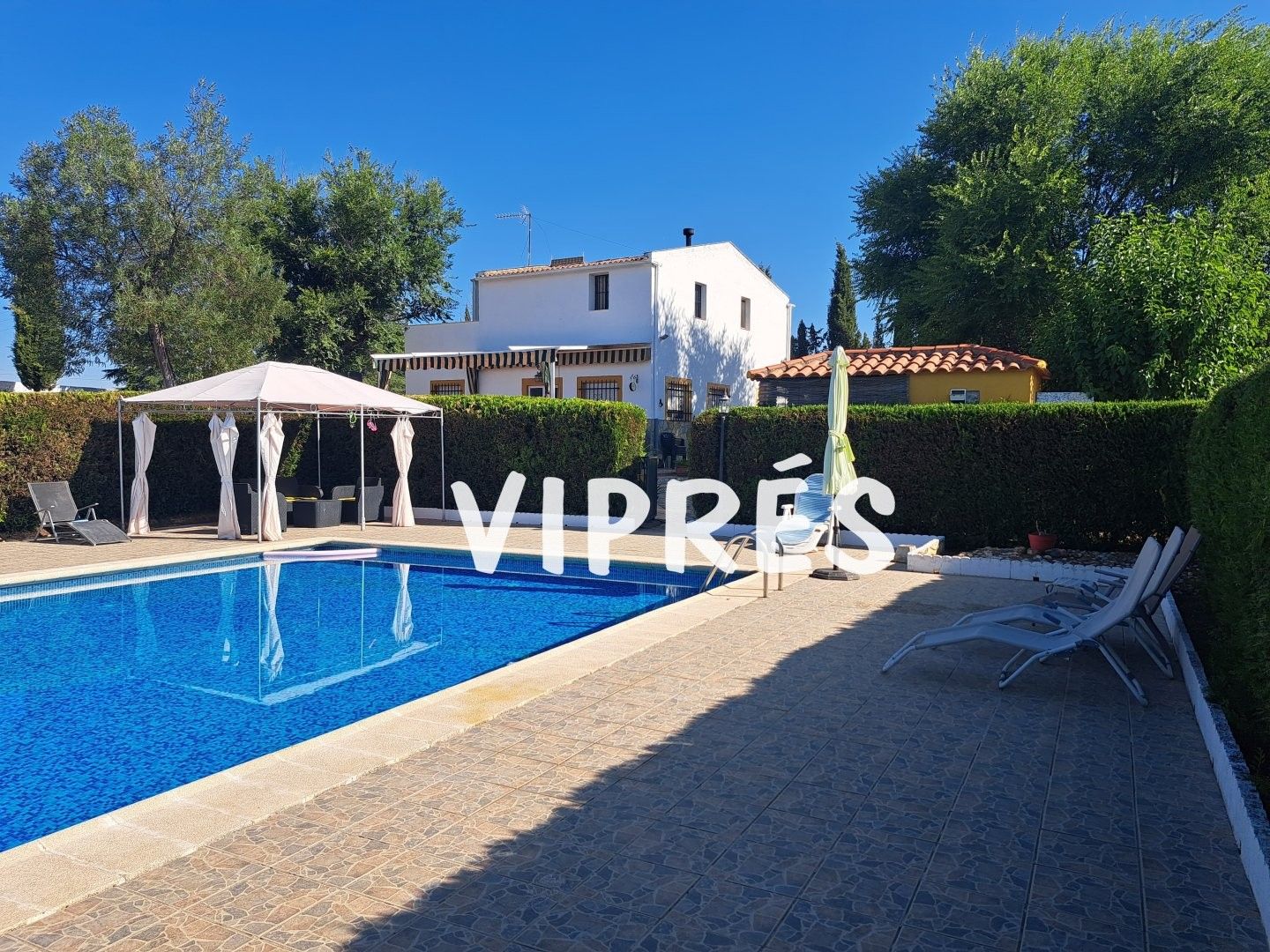 Vista exterior de Casa o xalet en venda en Don Álvaro amb Piscina i Moblat