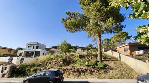 BEGUES BARCELONETA, imagen 2