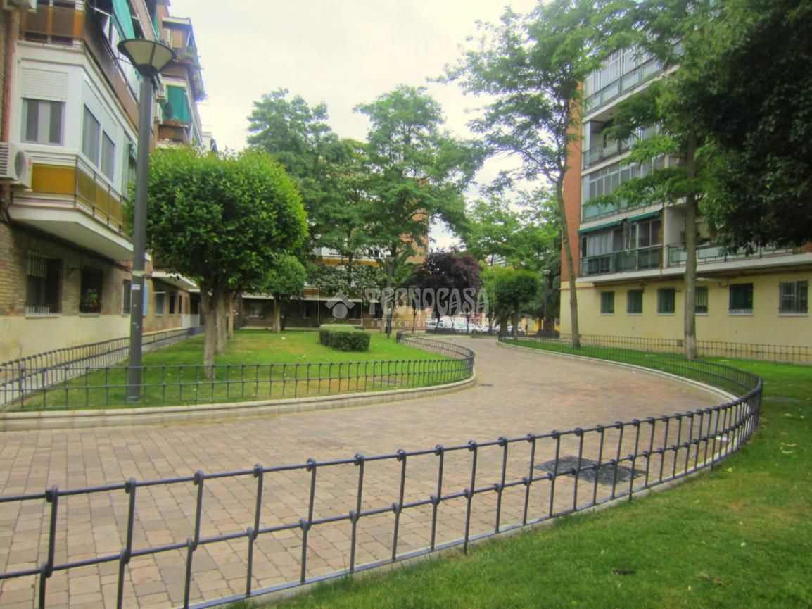 Pis de lloguer a San Nicasio