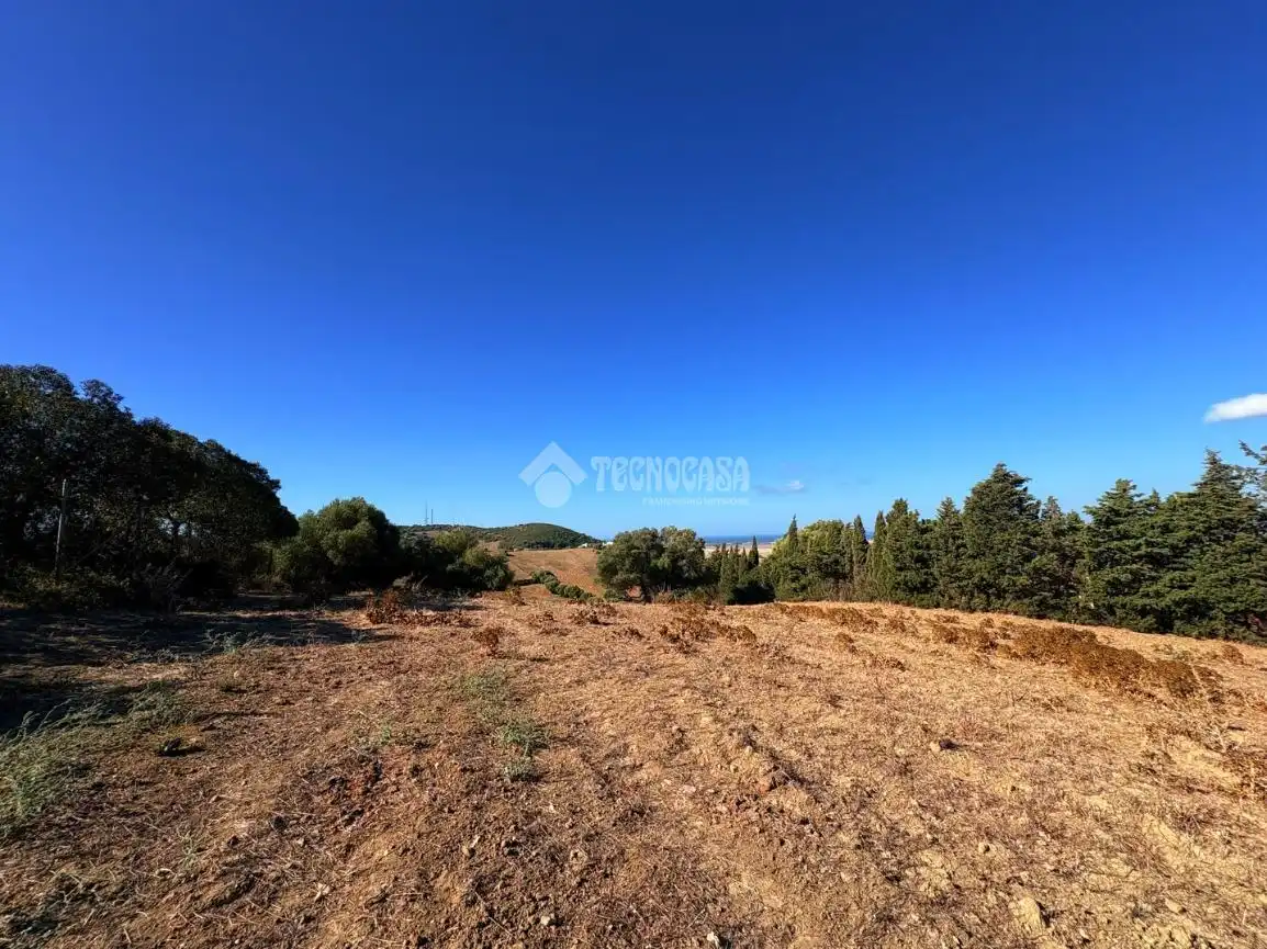Terreno rustico in vendita a Vejer, imagen 24