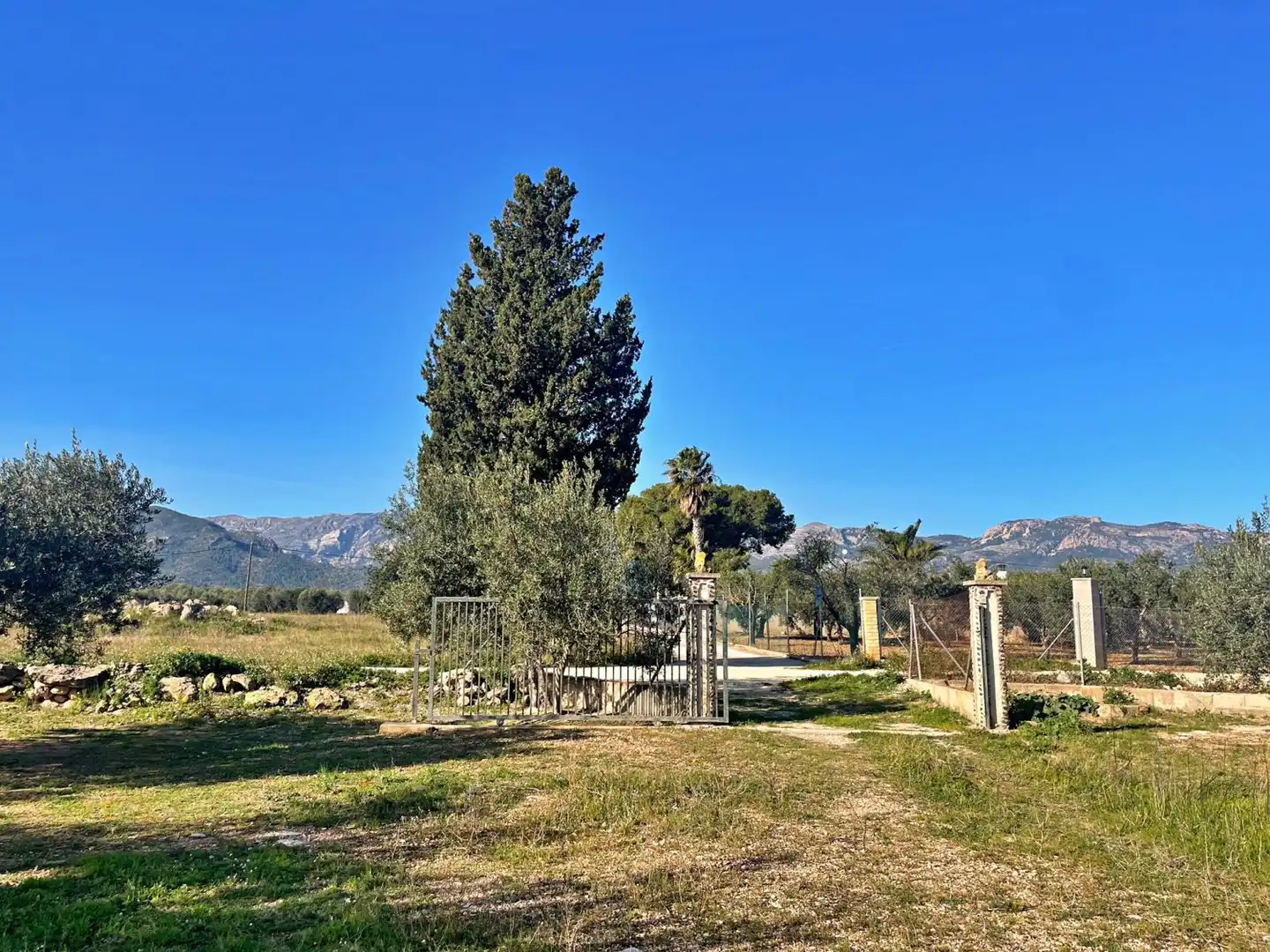 Jardí de Casa o xalet en venda en Aldover