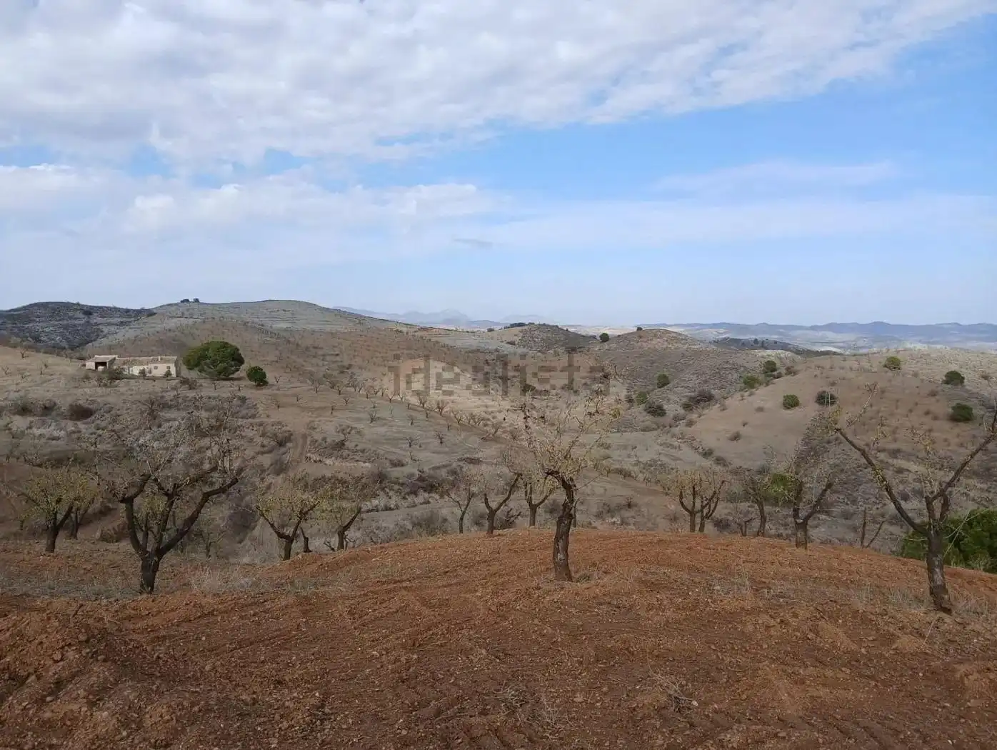 Terreny rústic en venda a Puerto Lumbreras, imagen 24